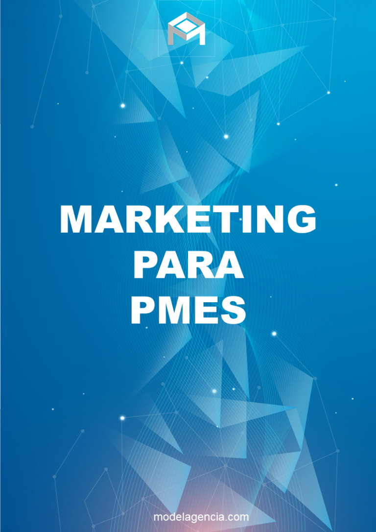 Marketing Digital Para Pmes